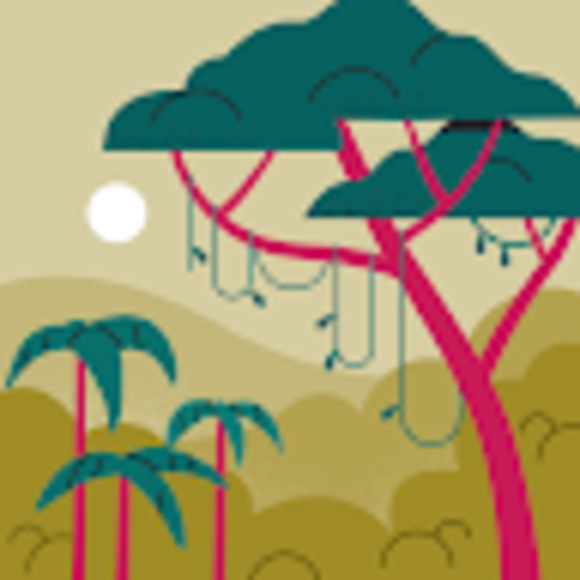 Meet your Posher, Coco - Picture 1 of 1